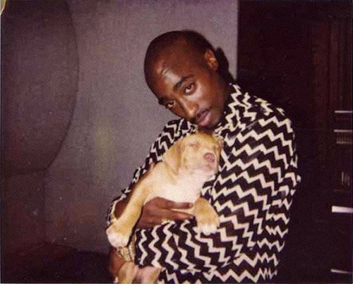 293206_1485487793827_1732877997_729656_4437047_n